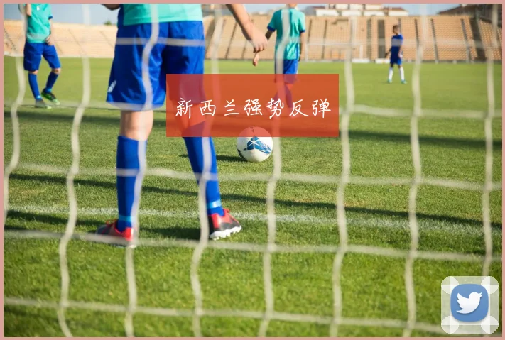 新西兰强势反弹