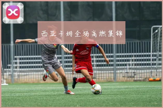 西亚卡姆全场高燃集锦