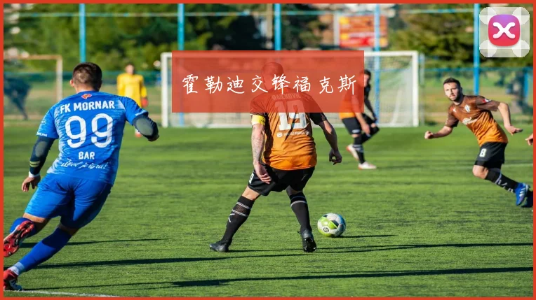 霍勒迪交锋福克斯
