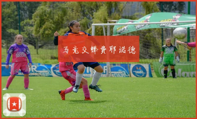 马竞交锋费耶诺德