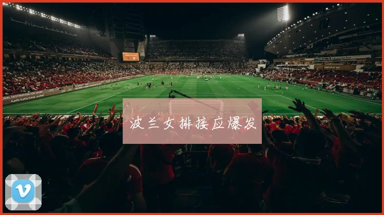 波兰女排接应爆发