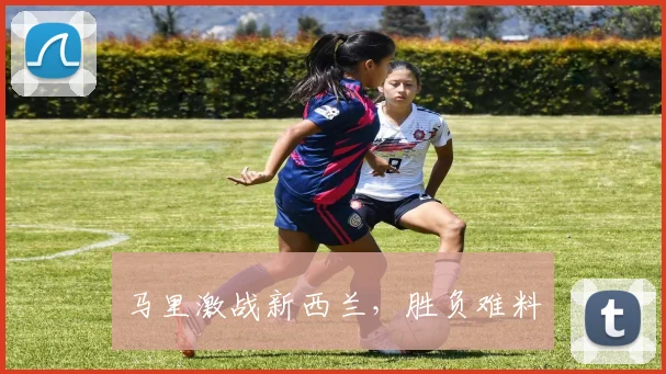 马里激战新西兰，胜负难料