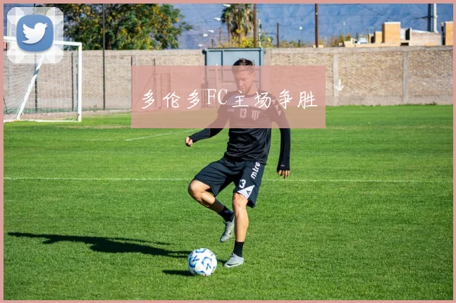多伦多FC主场争胜