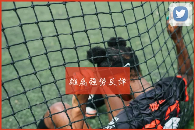 雄鹿强势反弹