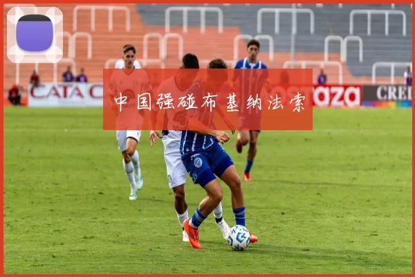 中国强碰布基纳法索