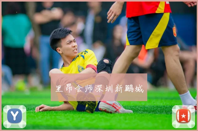 里昂会师深圳新鹏城