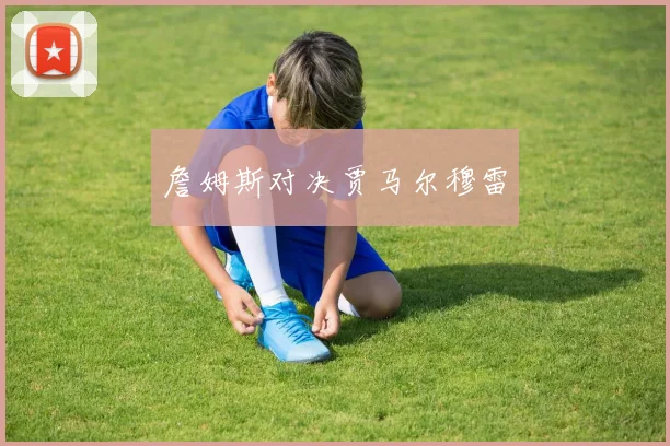 詹姆斯对决贾马尔穆雷