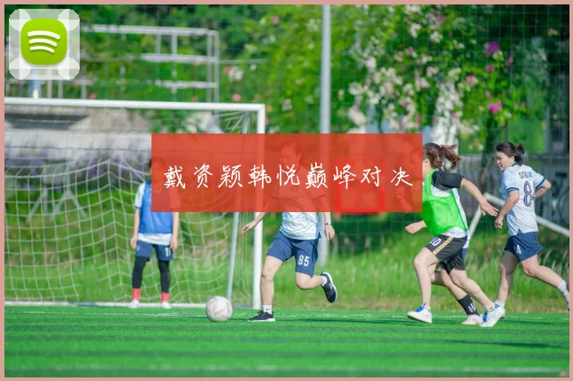 戴资颖韩悦巅峰对决