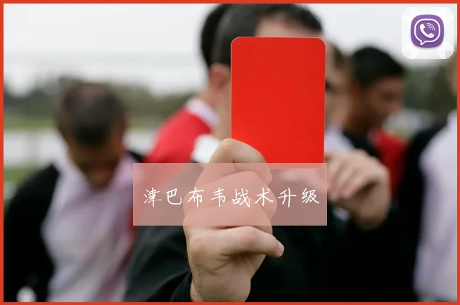 津巴布韦战术升级