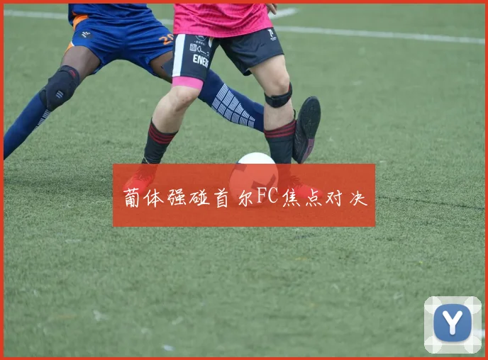 葡体强碰首尔FC焦点对决
