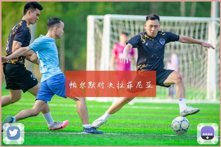 帕尔默对决拉菲尼亚