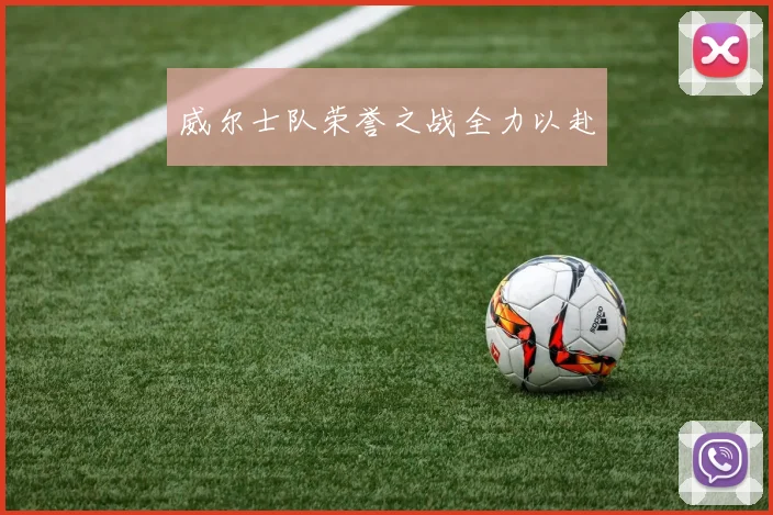 威尔士队荣誉之战全力以赴