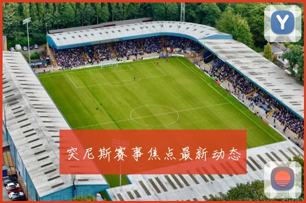 突尼斯赛事焦点最新动态