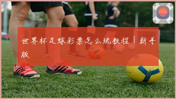 世界杯足球彩票怎么玩教程｜新手版
