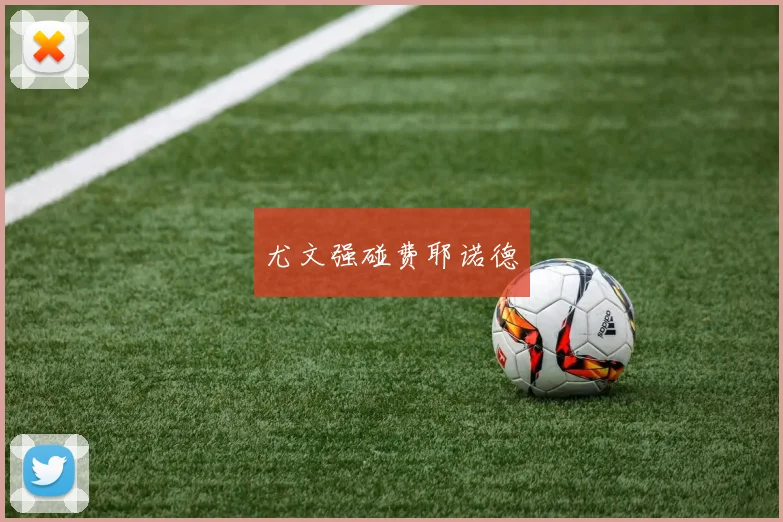 尤文强碰费耶诺德