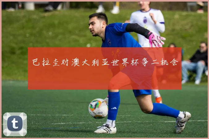 巴拉圭对澳大利亚世界杯争二机会
