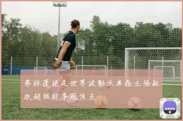 弗林蓬逆足世界波勒沃库森主场狂欢超级杯争冠焦点