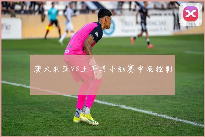 澳大利亚vs土耳其小组赛中场控制