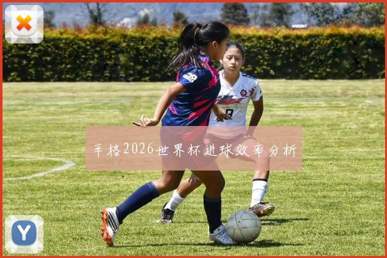 辛格2026世界杯进球效率分析
