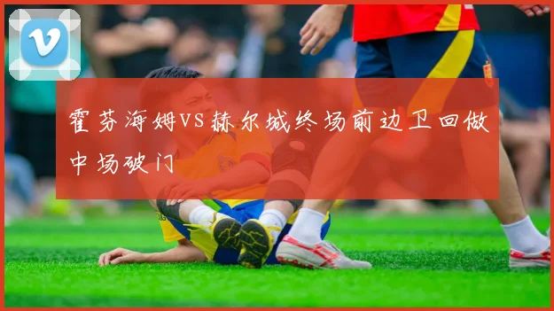 霍芬海姆vs赫尔城终场前边卫回做中场破门