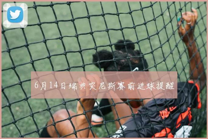 6月14日瑞典突尼斯赛前进球提醒