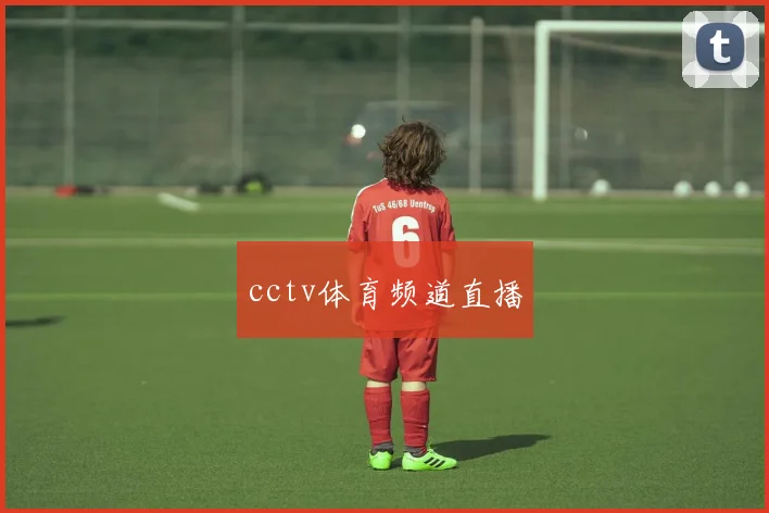 cctv体育频道直播